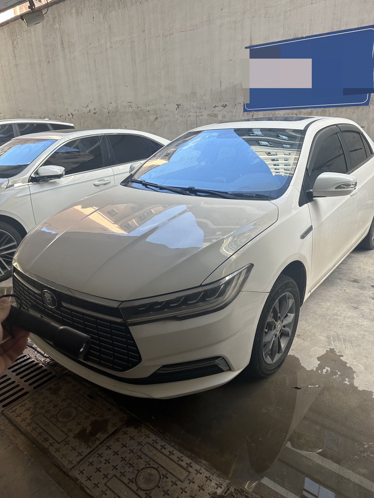 Qin New Energy 2019 Model Year Commuter Standard Edition